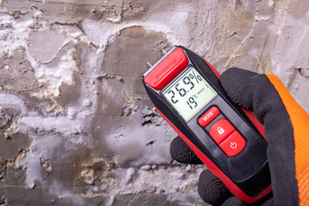 Best Toxic Mold Removal  in Orangeburg, SC