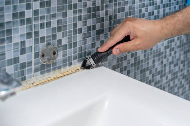 Best Mold Damage Repair  in Orangeburg, SC