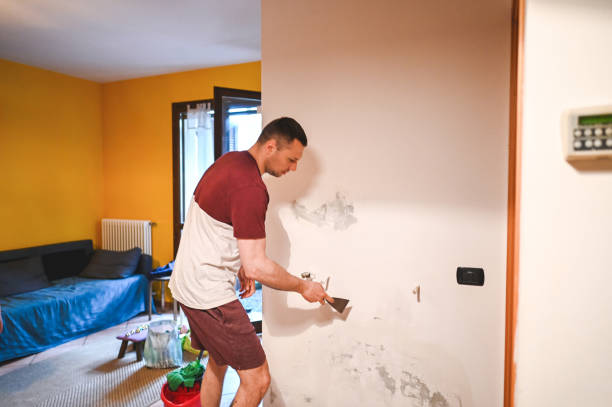 Best Certified Mold Removal  in Orangeburg, SC